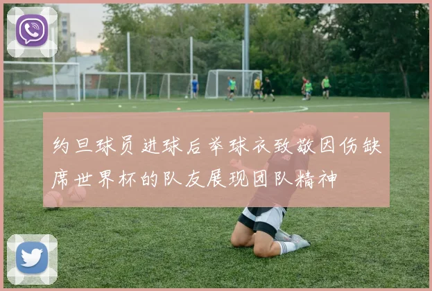 约旦球员进球后举球衣致敬因伤缺席世界杯的队友展现团队精神
